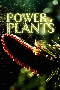 Постер «Сила растений»