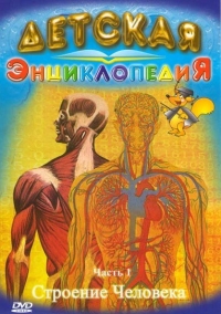 Постер «Строение человека»