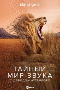 Постер «Тайный мир звука с Дэвидом Аттенборо»