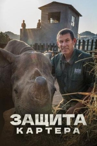 Постер «Защита Картера»