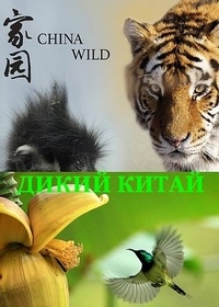 Постер «Дикий Китай»