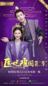 Постер «Принцесса-лекарь»