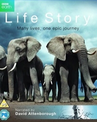 Постер «История жизни»