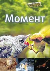 Постер «Момент»