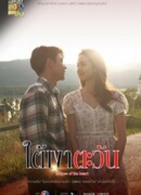 Постер «Отражение солнца»