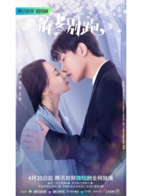 Постер «Остановить бывшую жену»