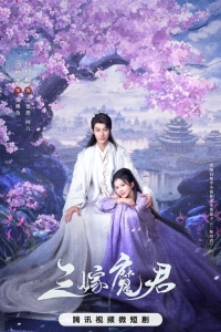 Постер «Трижды невеста повелителя тьмы»