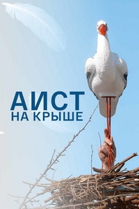 Постер «Аист на крыше»