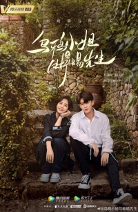 Постер «Мисс Ворона и мистер Ящерица»