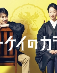 Постер «Ворон зала суда»