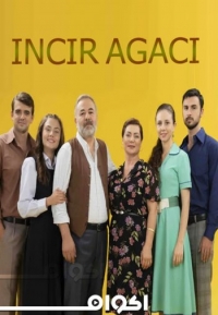 Постер «Фиговое дерево»