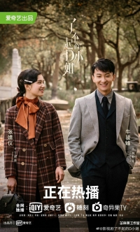 Постер «Удивительная госпожа Ди»