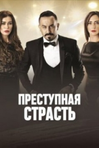 Постер «Преступная страсть»