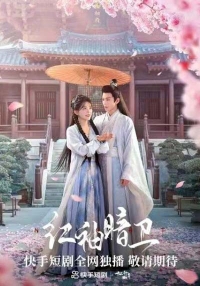 Постер «Тайный страж с красными рукавами»