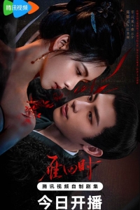 Постер «Благородная девушка»