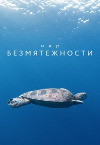 Постер «Мир безмятежности»