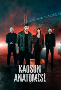 Постер «Анатомия хаоса»