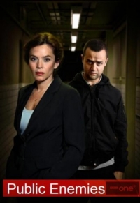 Постер «Враги общества»