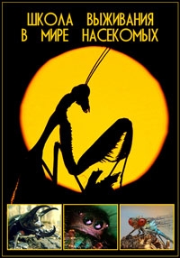 Постер «Школа выживания в мире насекомых»