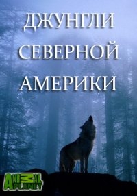 Постер «Animal Planet: Джунгли Северной Америки»
