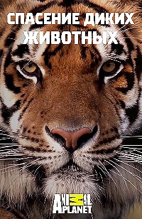 Постер «Спасение диких животных»
