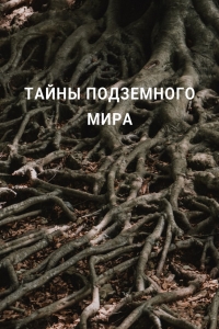 Постер «Тайны подземного мира»