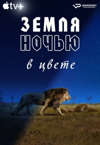 Постер «Земля ночью в цвете»